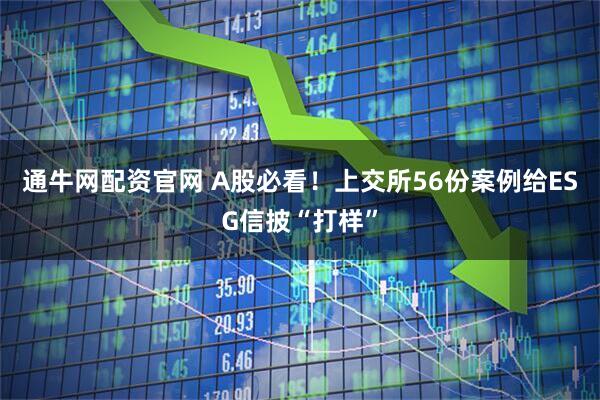通牛网配资官网 A股必看！上交所56份案例给ESG信披“打样”
